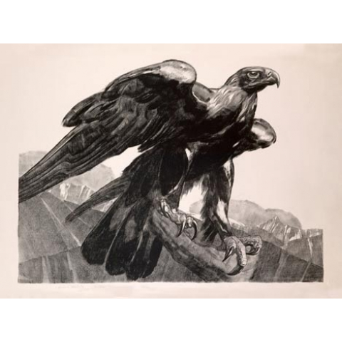 Imperial eagle. 1929.