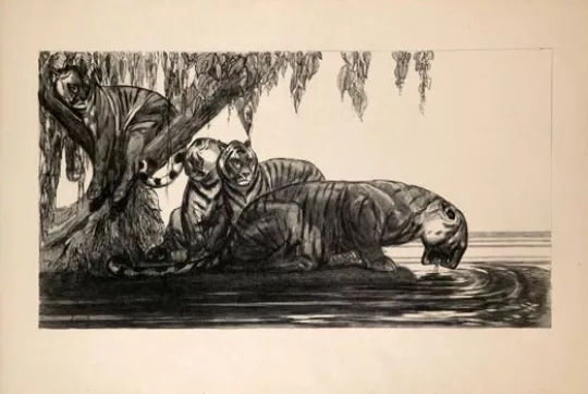 Paul JOUVE (1878-1973) - Tigres s'abreuvant 1937