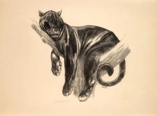 Paul JOUVE (1878-1973) - Panthère branchée.1938.