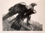 Paul JOUVE (1878-1973) - Imperial eagle. 1929.