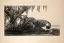 Paul JOUVE (1878-1973) - Tigres s'abreuvant 1937