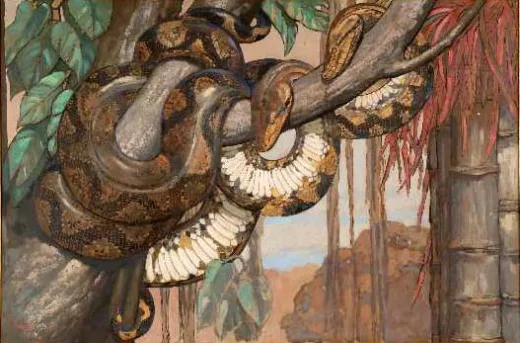 Auction by "De Vregille-Bizouard (S.V.V.) " du 08/11/2003 - Deux pythons (lot n°60)