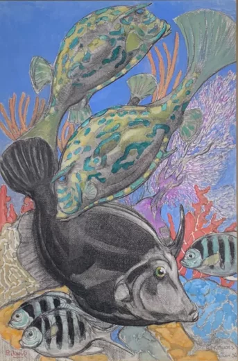 Auction by "Gros Delettrez SVV" du 09/06/2022 - Poissons tropicaux des Bermudes (lot n°25)