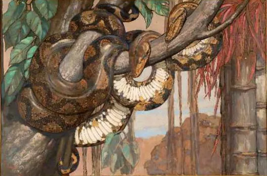 Paul JOUVE (1878-1973) - Deux pythons branchés.