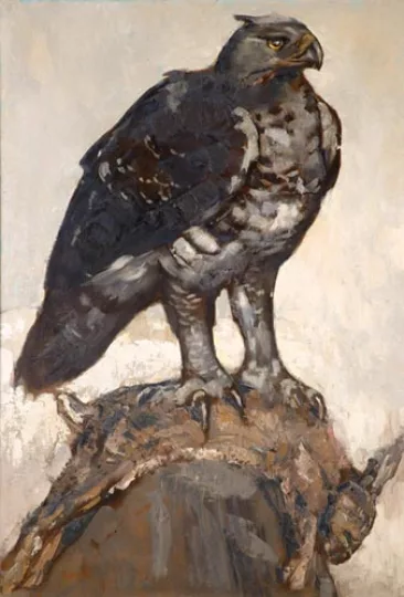 Paul JOUVE (1878-1973) - Aigle et lièvre. C 1920