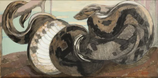 Paul JOUVE (1878-1973) - Python branché. Vers 1922.