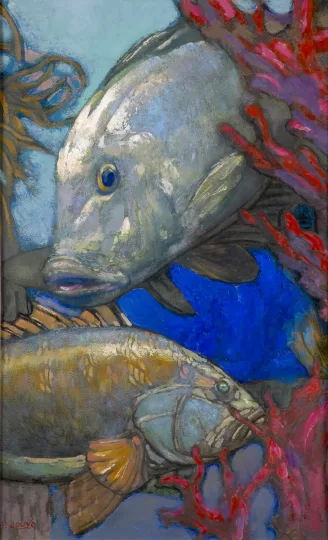 Paul JOUVE (1878-1973) - Poissons des Bermudes, 1956 (1)