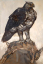 Paul JOUVE (1878-1973) - Eagle and Hare