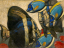 Paul JOUVE (1878-1973) - Poissons des Bermudes. 1956.