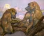 Paul JOUVE (1878-1973) - Babouins branchés, vers 1945