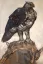 Paul JOUVE (1878-1973) - Aigle et lièvre. C 1920