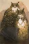 Paul JOUVE (1878-1973) - Eagle owl