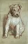 Paul JOUVE (1878-1973) - Le Chien Betty. C 1949.