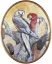 Paul JOUVE (1878-1973) - Trois Perroquets. C 1935.