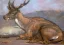 Paul JOUVE (1878-1973) - Cerf couché. Vers 1955.