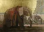 Paul JOUVE (1878-1973) - Éléphant sacré du temple de Madura. C 1925.