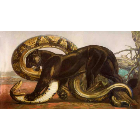 Panthère noire et python, vers 1930.