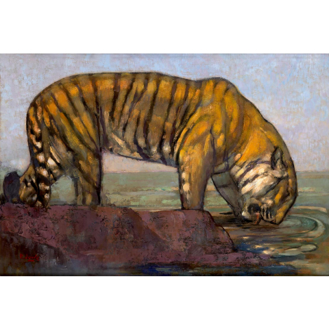Tigre s'abreuvant, C 1930.