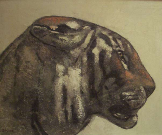 Paul JOUVE (1878-1973) - Tête de tigre, profil droit.