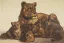 Paul JOUVE (1878-1973) - Lionne et ses lionceaux, vers 1930