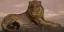 Paul JOUVE (1878-1973) - Lion couché. C 1930.