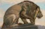 Paul JOUVE (1878-1973) - Lion guettant, C 1925.