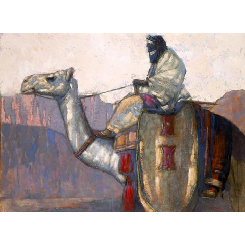 Mehari and Tuareg