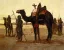 Paul JOUVE (1878-1973) - Mehari et Targui