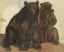Paul JOUVE (1878-1973) - Deux ours bruns assis.