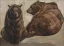 Paul JOUVE (1878-1973) - Deux ours bruns couchés, vers 1950.