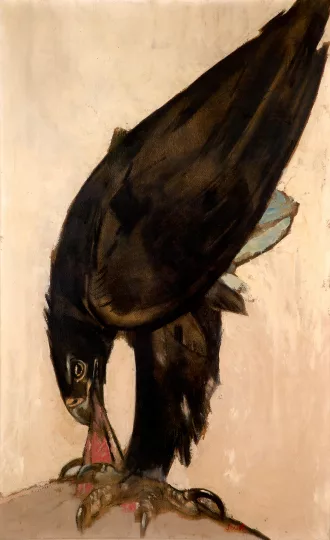 Paul JOUVE (1878-1973) - Aigle de Verreau sur sa proie. Vers 1922.