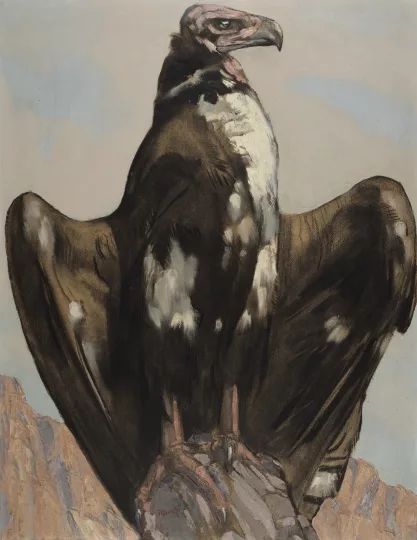 Paul JOUVE (1878-1973) - Vautour de face sur un rocher.