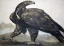 Paul JOUVE (1878-1973) - Aigle se retournant, vers 1913.