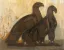 Paul JOUVE (1878-1973) - Couple d'aigle, vers 1926.