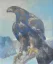 Paul JOUVE (1878-1973) - Aigle branché