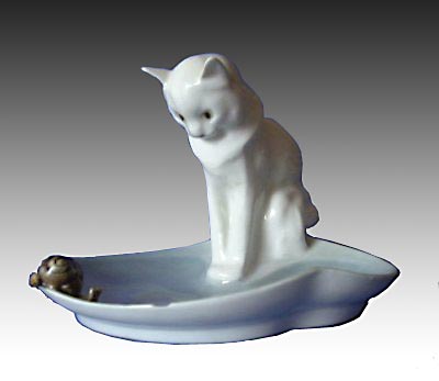 Chat à l'escargot