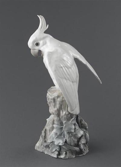Cacatoès, C 1900.