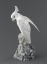 Paul JOUVE (1878-1973) - Cacatoès, C 1900.