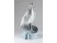 Paul JOUVE (1878-1973) - Grand condor