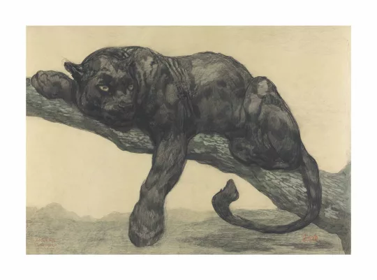 Paul JOUVE (1878-1973) - Panthère noire au repos, 1914.