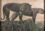 Vente par "Jonquet SVV" du 15/07/2017 - Deux tigres sur les remparts, Hué. C1922. (lot n°52)