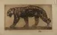 Vente par "Millon SVV" du 28/04/2023 - Panthère noire marchant. 1914. (lot n°132)