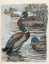 Vente par "Sotheby's France" du 05/10/2016 - Chasse, duc de Brisac (lot n°34)