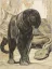 Vente par "Pierre Bergé & Associés" du 08/12/2009 - La Chasse de Kaa, Kipling, 1930. (08/12/2009) (lot n°503)