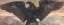 Auction by "Christie's New York, USA" du 09/12/2014 - aigles aux ailes déployées, 1928. (lot n°508)