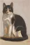 Vente par "Briscadieu SVV, Bordeaux, France." du 29/02/2020 - Chat assis. (lot n°56)
