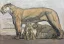 Vente par "Hôtel des Ventes de Nîmes " du 10/03/2018 - lionne et ses lionceaux. 1930. (10/03/2018) (lot n°409)