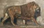 Vente par "Sotheby's France." du 22/05/2014 - Lion, vers 1930. (lot n°76)