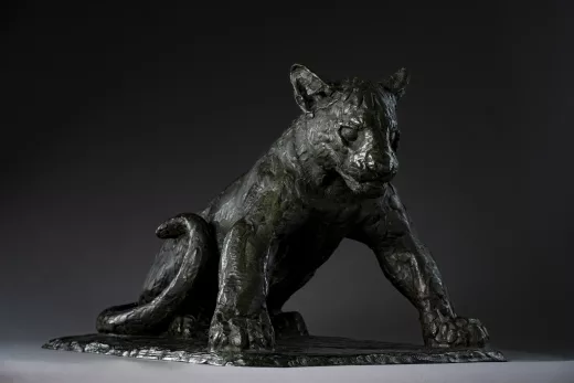Auction by "Ferran Enchères SVV" du 31/05/2026 - Jeune panthère (lot n°71)