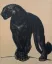 Vente par "Teissier et Sarou SVV" du 21/04/2022 - Panthère noire de face, pattes croisées, 1929. (lot n°38)